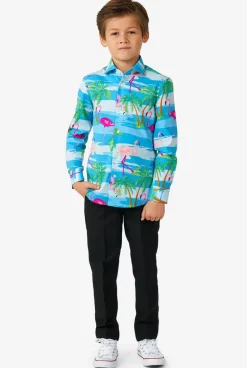 Cheap OppoSuits Flaminguy