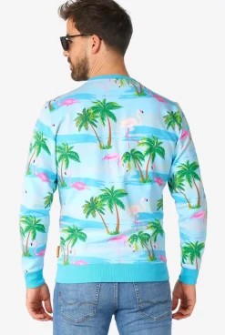 Online OppoSuits Flaminguy
