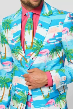 Fashion OppoSuits Flaminguy